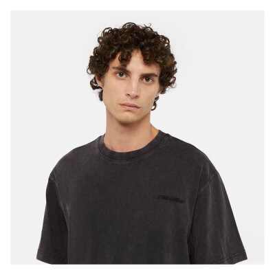 Dickies Plentywood t-shirt acid wash black Size 2XL
