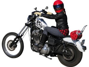 Tall Sissy Bar with Pad Chrome