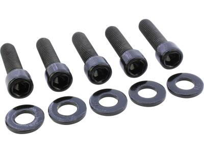 Sprocket/Pulley Screw Kit 5 Allen Head Screws, 5 Washers Gloss Black Powder Coated