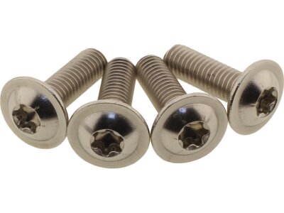 Heatshield Screw Kit Stainless Steel