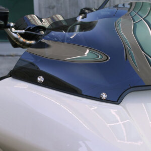 Arlen Ness, titanium 12-point windshield bolt kit. Polished