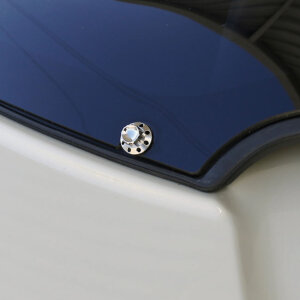 Arlen Ness, titanium 12-point windshield bolt kit. Polished