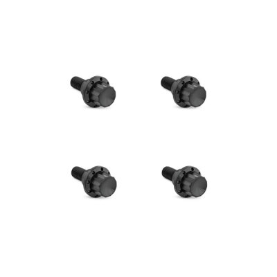 Arlen Ness, titanium 12-point windshield bolt kit. Black