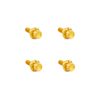 Arlen Ness, titanium 12-point windshield bolt kit. Gold