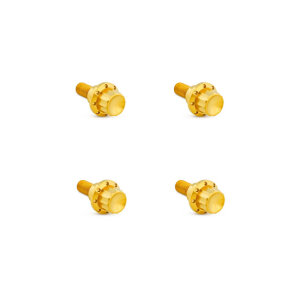 Arlen Ness, titanium 12-point windshield bolt kit. Gold