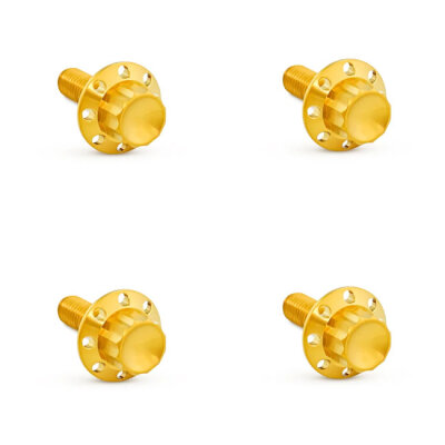 Arlen Ness, titanium 12-point windshield bolt kit. Gold