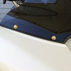 Arlen Ness, titanium 12-point windshield bolt kit. Gold
