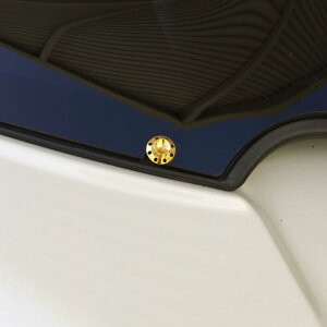 Arlen Ness, titanium 12-point windshield bolt kit. Gold