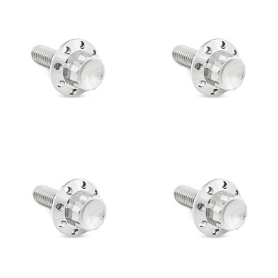 Arlen Ness, titanium 12-point windshield bolt kit. Polished