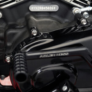 Arlen Ness, Titanium 12pt Primary Cover Bolt Kits. Polish