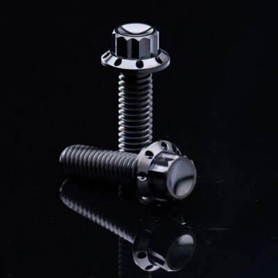 Arlen Ness, Titanium 12pt Primary Cover Bolt Kits. Black
