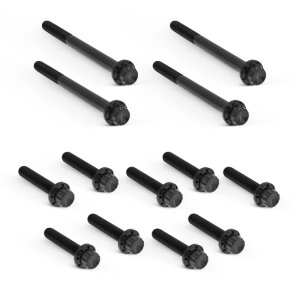Arlen Ness, Titanium 12pt Primary Cover Bolt Kits. Black