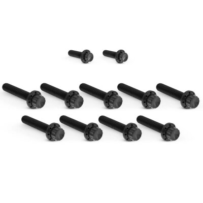 Arlen Ness, titanium 12-point cam/point cover bolt kit.Black