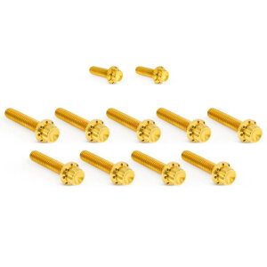 Arlen Ness, titanium 12-point cam/point cover bolt kit. Gold