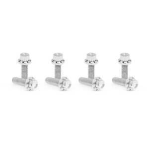 Arlen Ness, titanium 12-point lifter block bolt kit. Polish