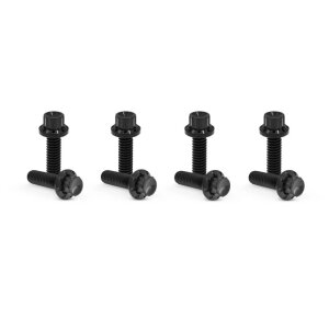 Arlen Ness, titanium 12-point lifter block bolt kit. Black