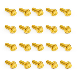 Arlen Ness, titanium 12-point rocker box bolt kit. Gold