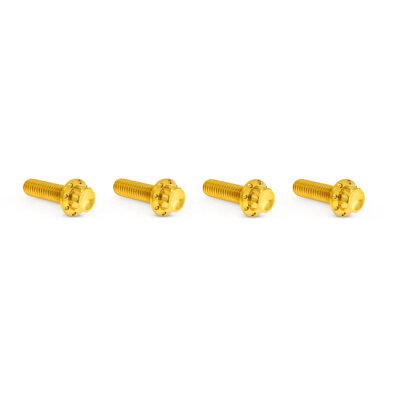 Arlen Ness, titanium 12-point transm. top cover bolts. Gold