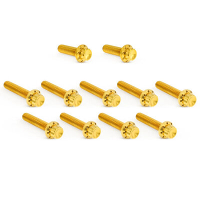 Arlen Ness, titanium 12-point cam/point cover bolt kit. Gold
