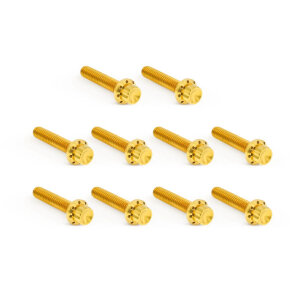 Arlen Ness, titanium 12-point cam/point cover bolt kit. Gold