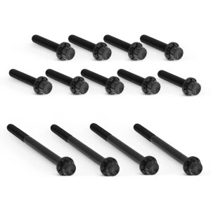 Arlen Ness, titanium 12-point primary cover bolt kit. Black
