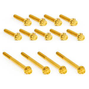 Arlen Ness, titanium 12-point primary cover bolt kit. Gold