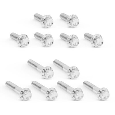 Arlen Ness, titanium 12-point rocker box bolt kit. Polished