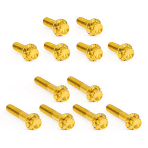 Arlen Ness, titanium 12-point rocker box bolt kit. Gold