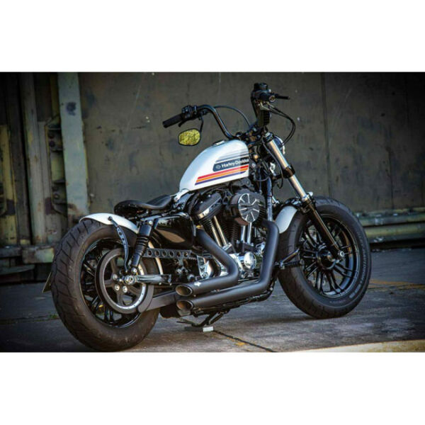 Ricks Motorcycles, belt cover Round holes. Gloss black