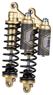 LS REVO-ARC PB 14" Gold FXR84-00 (FR)