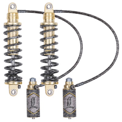 LS REVO-ARC RR 13" Gold FLH/T14-Up (FR)