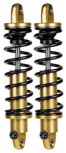 LS REVO-A 12" HD Gold FLH/T99-Up (FR)