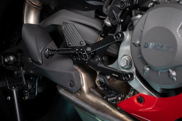 Ducati Panigale V2/s 25- Rears