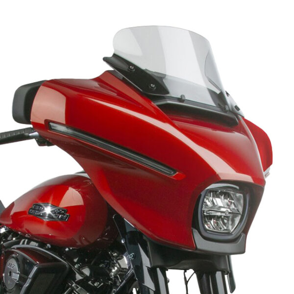 National Cycle, VStream® replacement screen. Medium