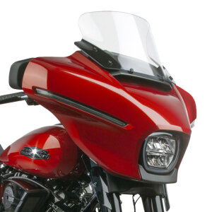 National Cycle, VStream® replacement screen. High