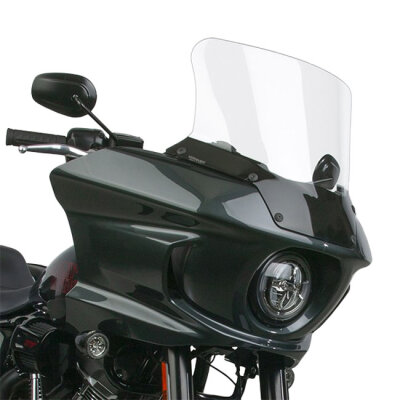 National Cycle, VStream® replacement screen. High