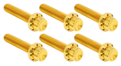 12PT Tranny Cover Bolts Gold ME24-Up (FR)