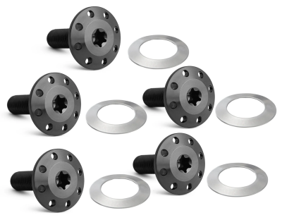 Holeshot FL Rotor Bolts Black FLH/T24-Up (FR)
