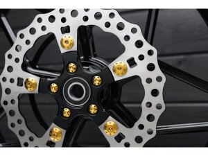 Titanium Rotor Bolt Kit For Rear Brake Discs, Thread: 3/8"-16 x 1" Gold