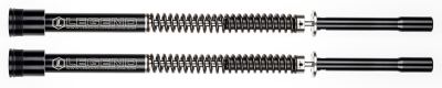 LS AXEO 1" Under. 49mm FLH/T14-16 (DE)
