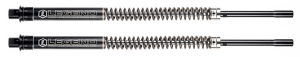 LS AXEO Perf. 41mm FLH/T97-13 (GB)