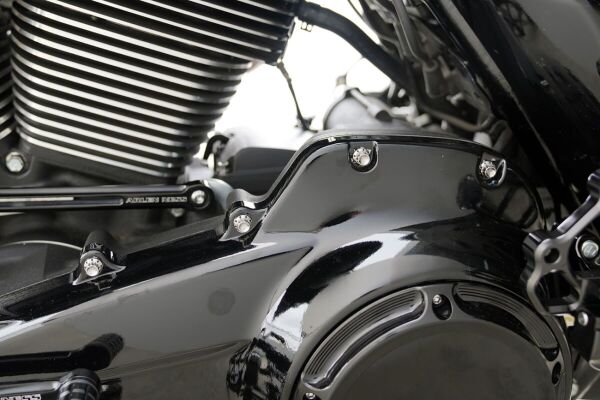 Bolt Kit Titanium - Flt 17-25