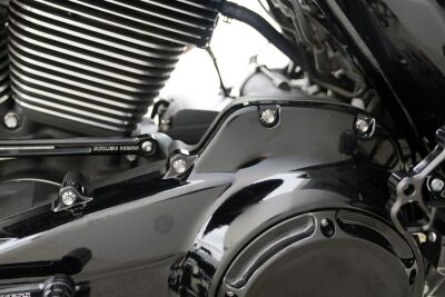 Bolt Kit Titanium - Flt 17-25