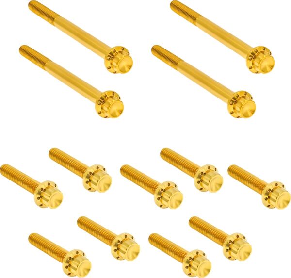 Bolt Kit Titanium - Flt 17-25