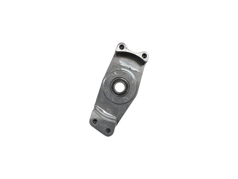Mainshaft Bearing Support Plate including Bearing