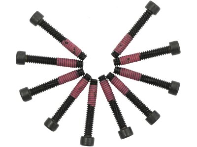 10-24 x 1 1/4" Torx Stator Mounting Screws Pack of 10