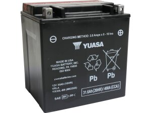 Maintenance Free YIX30L Factory Activated AGM Battery AGM...