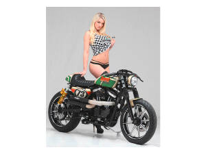 Velocity 2-Piece Brake Rotor Black Stainless Steel 11,5" Rear