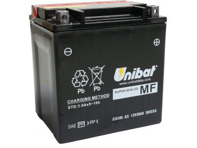 Maintance Free Series CIX30L-BS Battery Dry Battery with Acid Pack AGM, 385 A, 30.0 Ah  inkl. 7,50 Euro Batteriepfand
