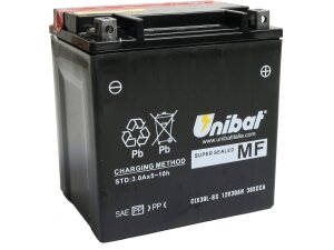 Maintance Free Series CIX30L-BS Battery Dry Battery with...